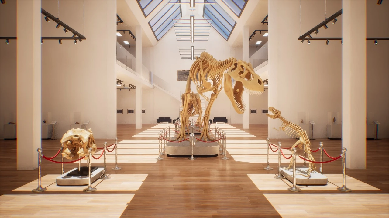 Dinosaur Museum